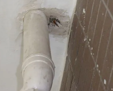 沁源漏水检测哪家好